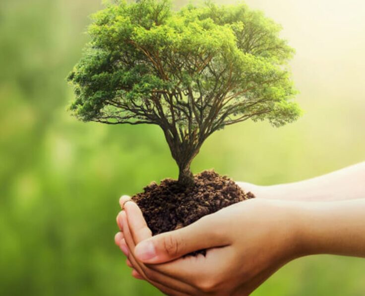 environment