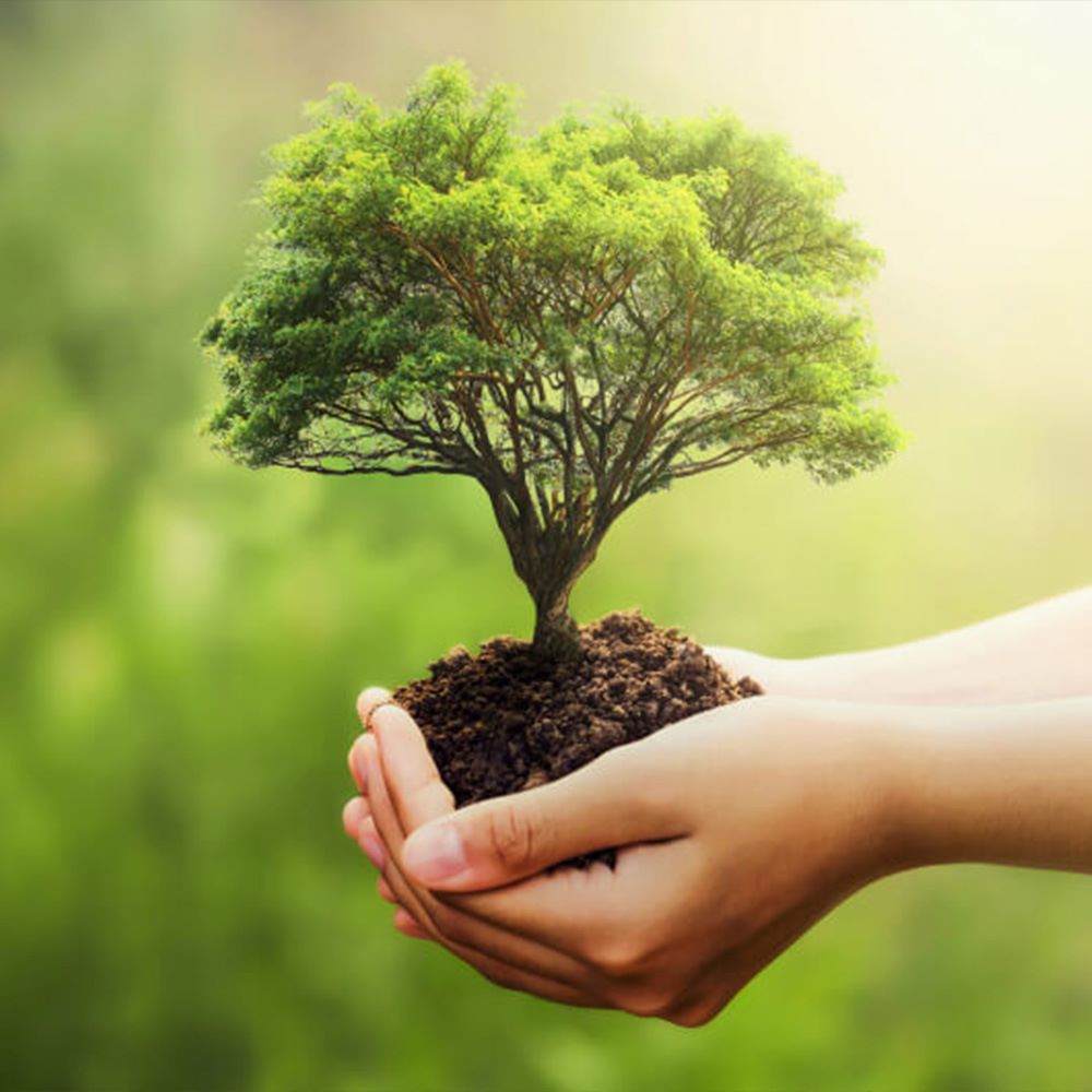 environment