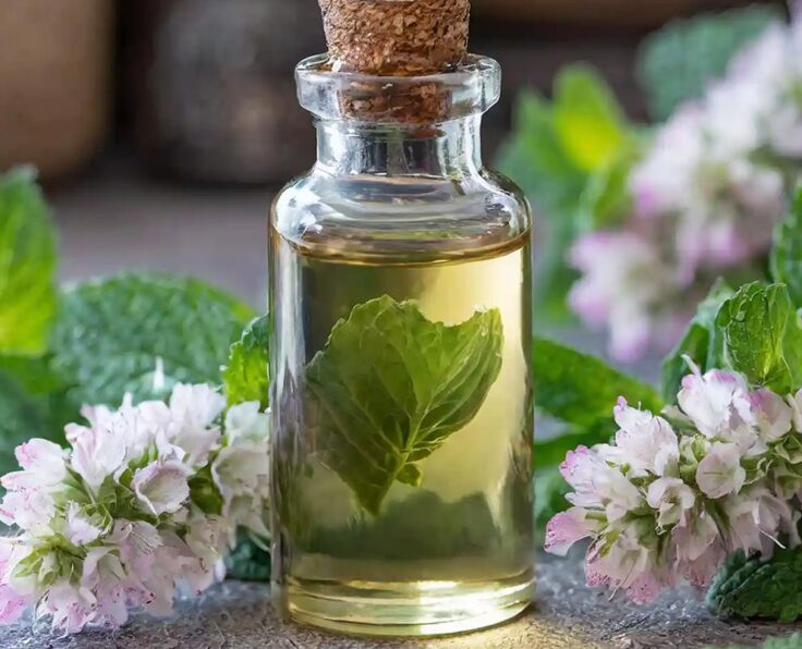 Essential Oil